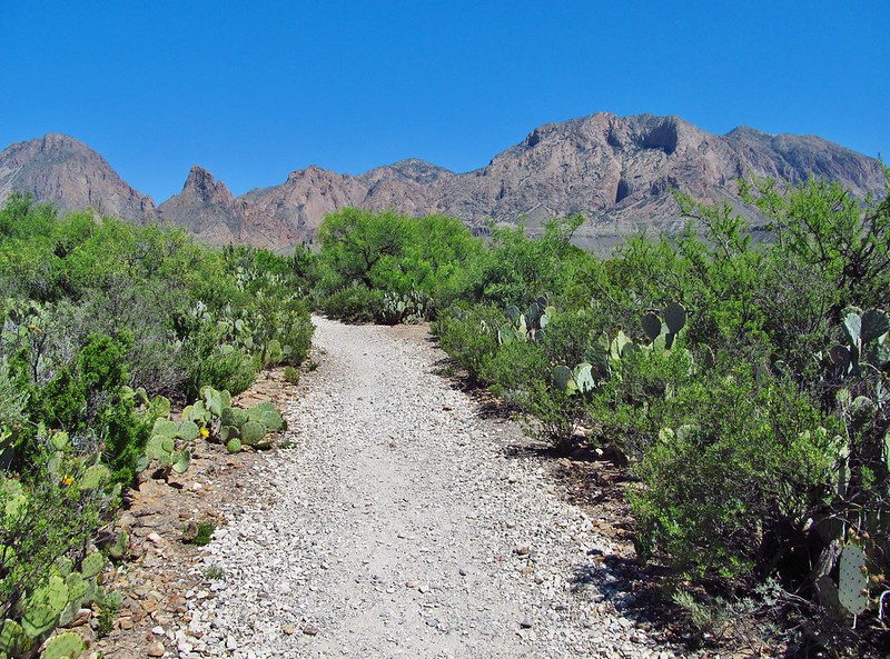 Vox in Deserto Abbé Benjamin Martin
